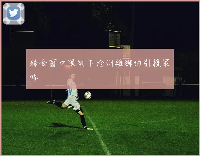 转会窗口限制下沧州雄狮的引援策略
