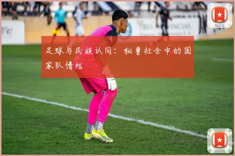 足球与民族认同：秘鲁社会中的国家队情结