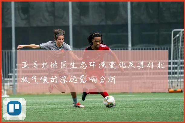 亚马尔地区生态环境变化及其对北极气候的深远影响分析