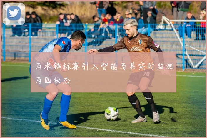 马术锦标赛引入智能马具实时监测马匹状态