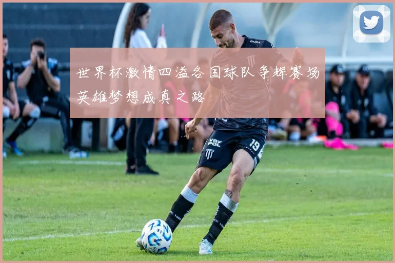 世界杯激情四溢各国球队争辉赛场英雄梦想成真之路