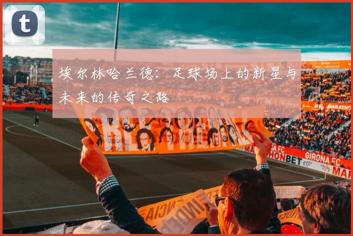 埃尔林哈兰德：足球场上的新星与未来的传奇之路